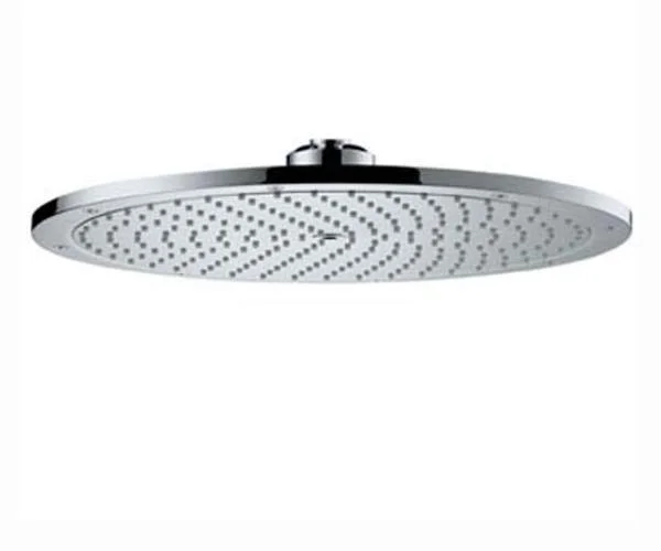 Душова головка HANSGROHE RAINDANCE