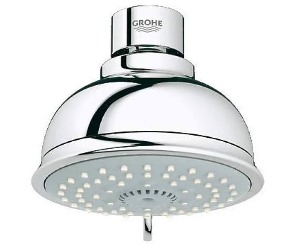Душова головка GROHE TEMPESTA NEW RUSTIC