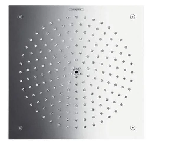 Душова головка HANSGROHE RAINDANCE