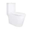 Унітаз-моноблок підлоговий Qtap Kolibri Ultra Quiet безобідковий з сидінням Soft-close WHITE