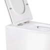 Унітаз підлоговий Qtap Swan із сидінням Soft-close