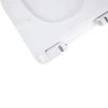 Сидіння для унітазу Qtap (Virgo) з мікроліфтом Slim