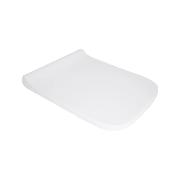 Сидіння для унітазу Qtap (Tern) з мікроліфтом Slim