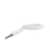 Ручний душ HANSGROHE PURAVIDA