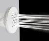 bossinii00175_p3-1200x1000