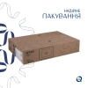 Раковина накладна прямокутна 600x400x110 мм Qtap Tern