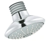 Верхній душ GROHE EUPHORIA MONO